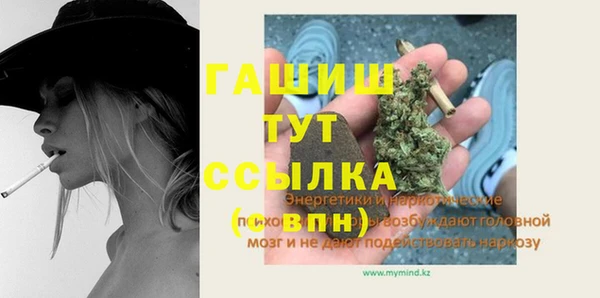 PSILOCYBIN Горно-Алтайск