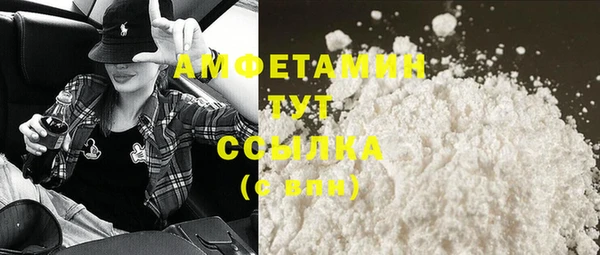 PSILOCYBIN Горно-Алтайск