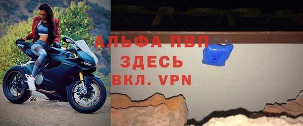PSILOCYBIN Горно-Алтайск